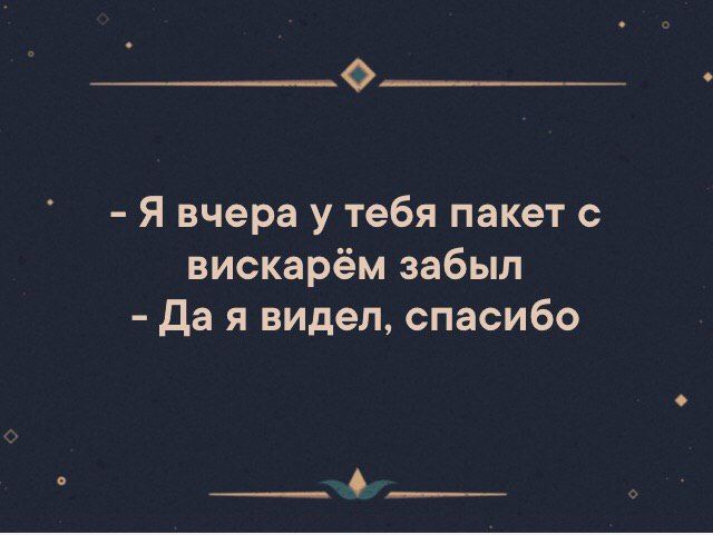 О Я вчера у тебя пакет с вискарём забыл Да я видел спасибо