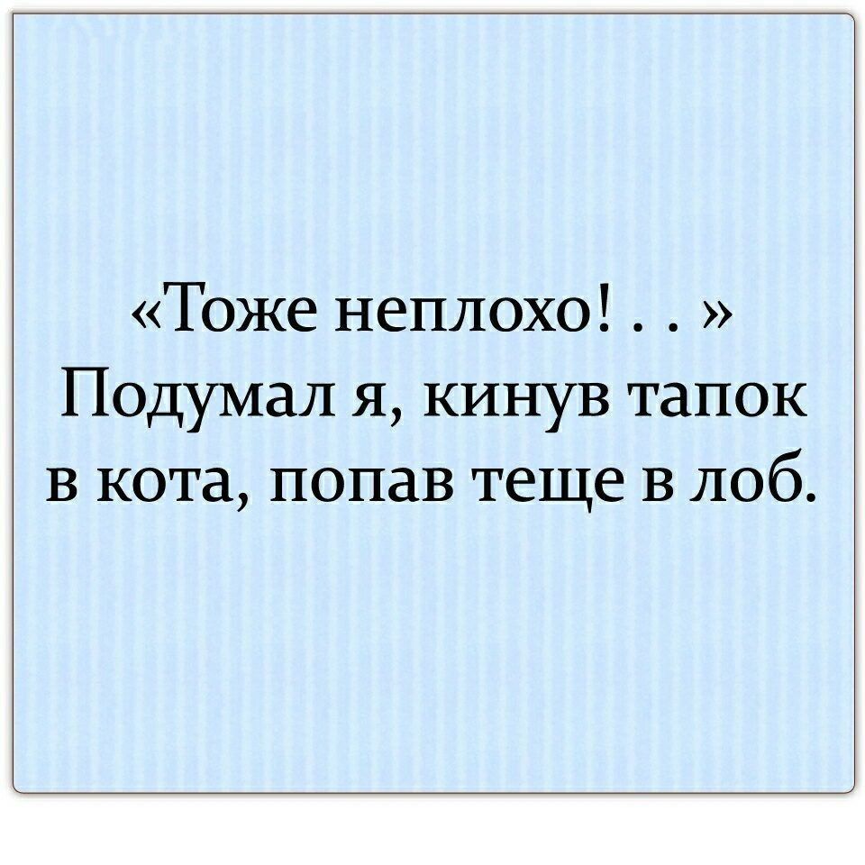Тоже неплохо Подумал я кинув тапок в кота попав теще в лоб