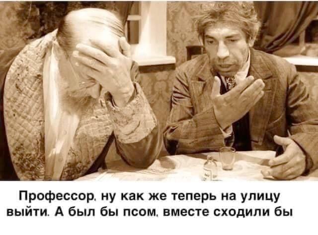 Профессор ну как же теперь на улицу выйти А был бы псом вместе сходили бы