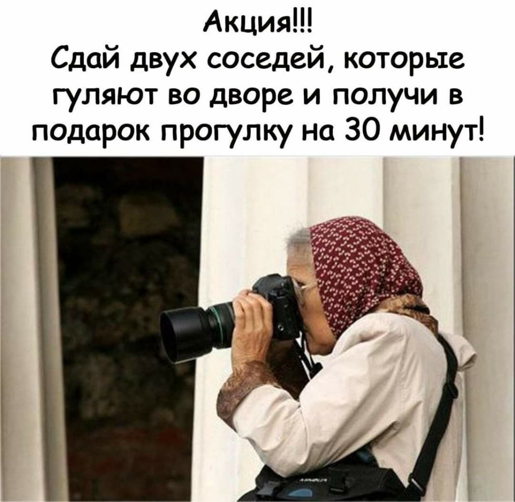 Акция Сдай двух соседей которые гуляют во дворе и получи в подарок прогулку на 30 минут