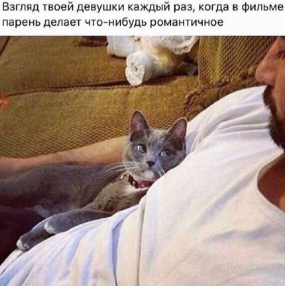 Взгляд твоей девушки каждый раз когда в фильме парень делает что нибудь романтичное