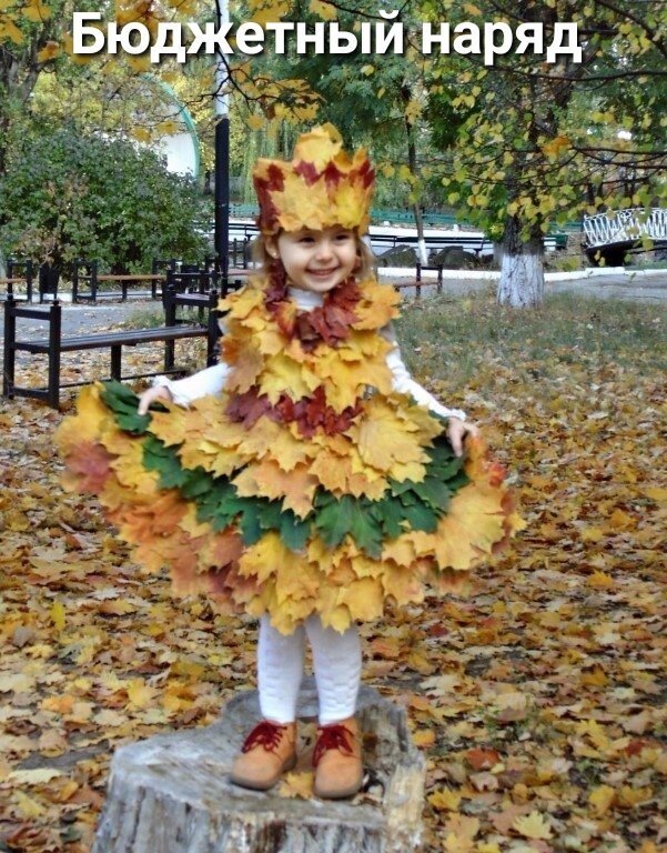 яд р а Н