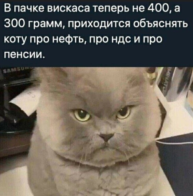 В пачке вискаса теперь не 400 а 300 грамм приходится объяснять коту про нефть про ндс и про пенсии
