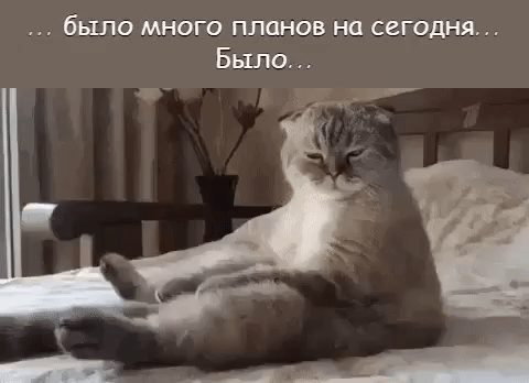 было МНОГО планов на СЕГОДНЯ Было