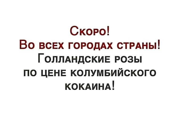 Скоро Во всех ГОРОДАХ СТРАНЫ Голмндскив розы по ЦЕНЕ колумвийского КОКАИНА