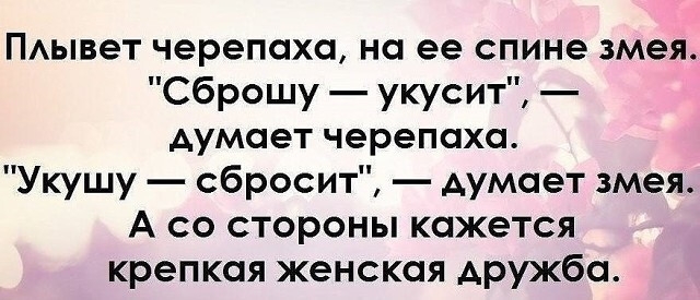 ПАывет черепаха на ее спине змея Сброшу укусит думает черепаха Укушу сбросит думает змея А со стороны кажется крепкая женская Аружба