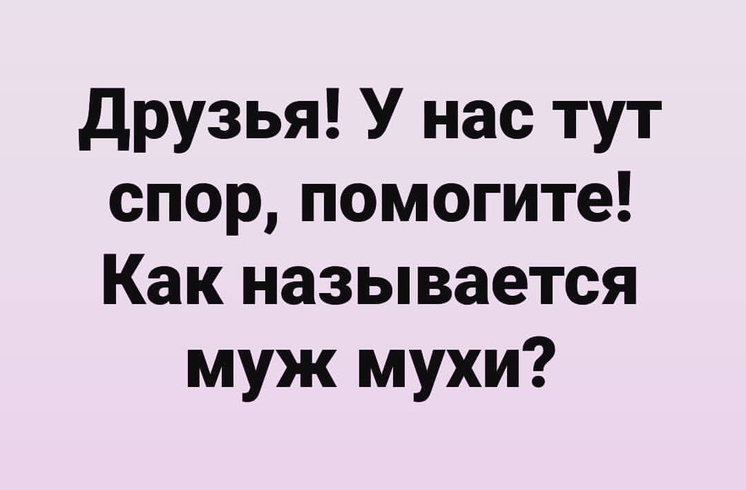 друзья У нас тут спор помогите Как называется муж мухи