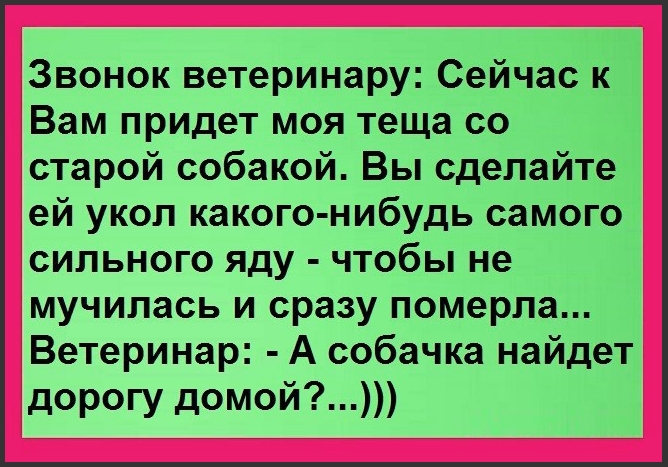 Звонок ветеринару Сейчас к Вам придет моя теща со старой собакой Вы сделайте ей укоп какого нибудь самого сильного яду чтобы не мучилась и сразу померла Ветеринар А собачка найдет1 дорогу домой