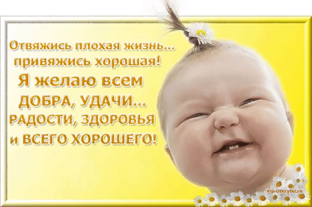 твяжияч плохая жизнь привяжись хор Я желаю всем денди УДАЧИ РАДОСТИ ЗДОРОВЬЯ и ВСЕГОХОРОШБГО