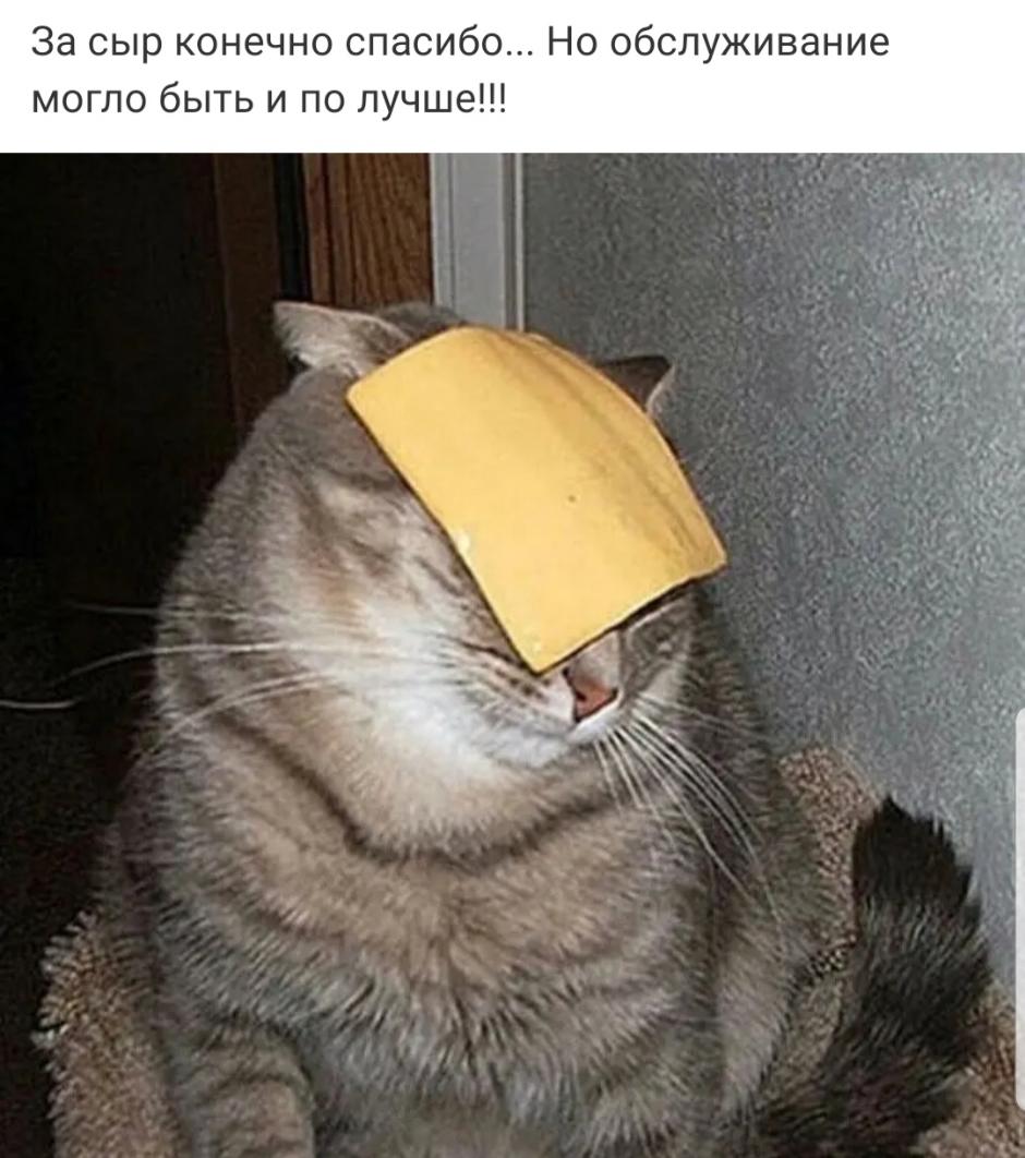За сыр конечно спасибо Но обслуживание могло быть и по лучше