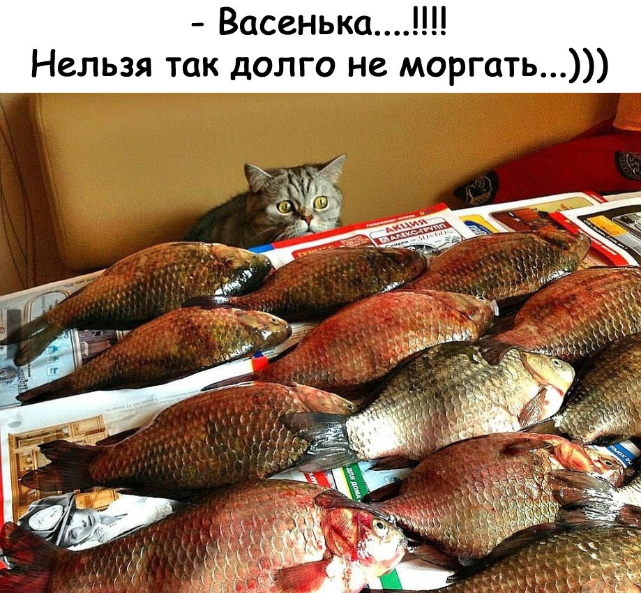 Васенька Нельзя так долго не моргать
