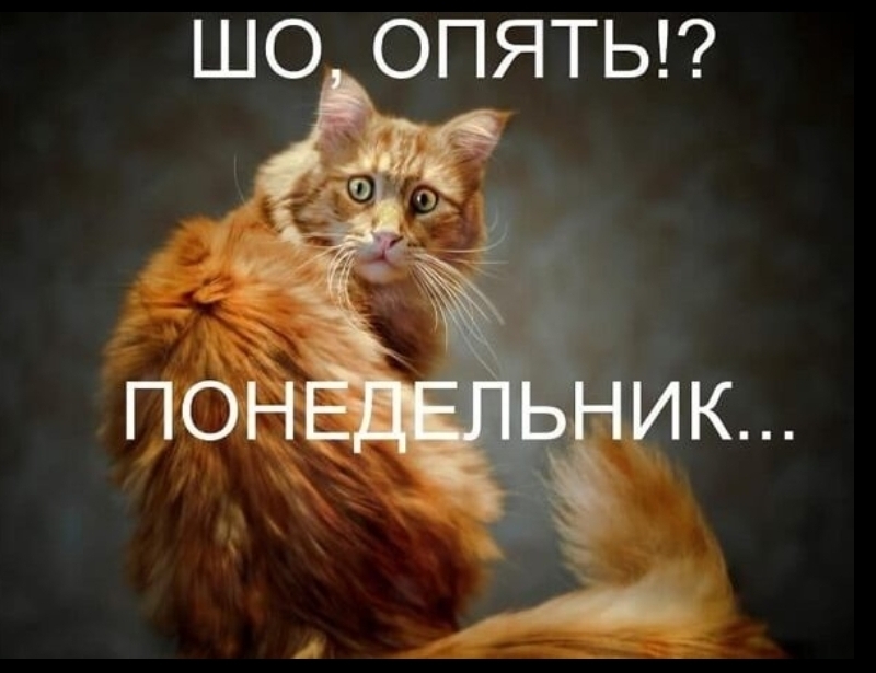 ШО ОПЯТЬГ