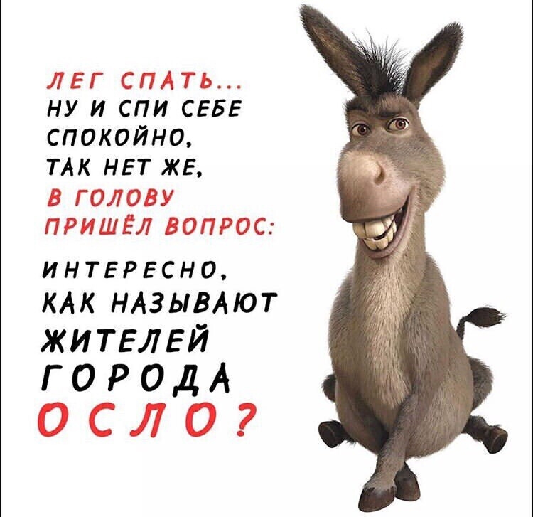 ЛЕГ СПАТЬ НУ И СПИ СЕБЕ СПОКОЙНО ТАК НЕТ ЖЕ В ГОЛОВУ ПРИШЕЛ ВОПРОС интврвсно КАК НАЗЫВАЮТ ЖИТЕЛЕЙ Г О Р ОД А ОСЛО
