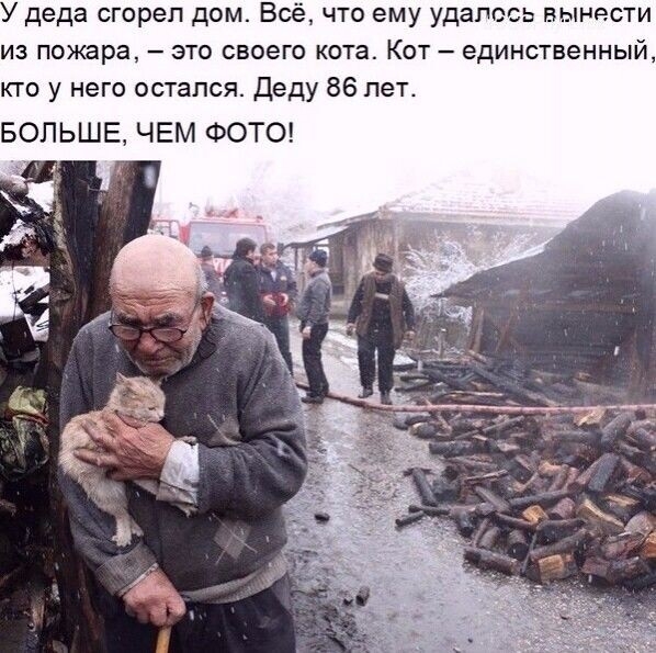 деда сгорел дом Всё что ему удалось вынести из пожара это своего кота Кот единственный кто у него остался Деду 86 лет БОЛЬШЕ ЧЕМ ФОТО