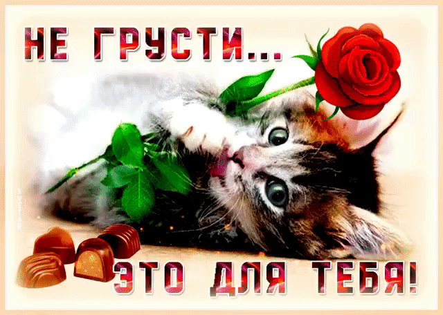 і 1