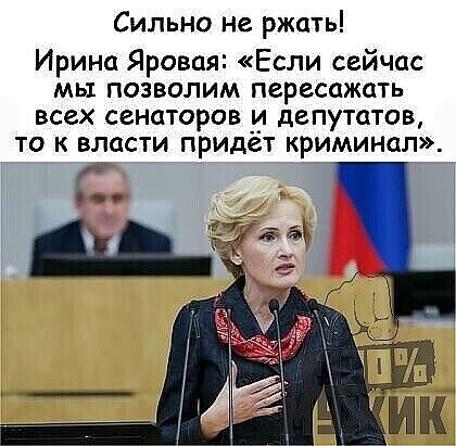 Сильно не ржать Ирина Яровая Если сейчас мы позволим пересажать всех сенаторов и депутатов то к власти придет криминал