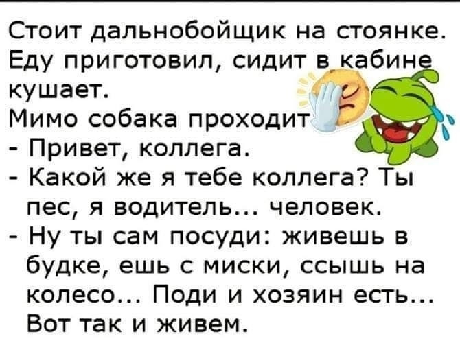 Стоит дальнобойщик на стоянке Еду приготовил сидит в кабин кушает Мимо собака проходит Привет коллега Какой же я тебе коллега Ты пес я водитель человек Ну ты сам посуди живешь в будке ешь с миски ссышь на колесо Поди и хозяин есть Вот так и живем