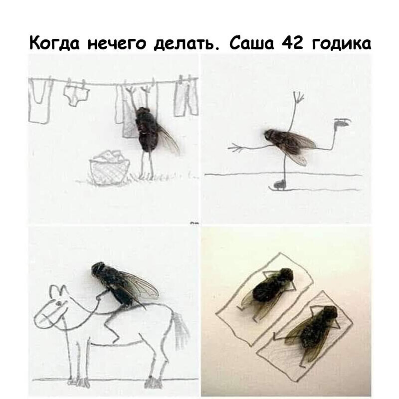 Кота нечего делать Саша 42 годика _ А 5 _ __ _ _5 _