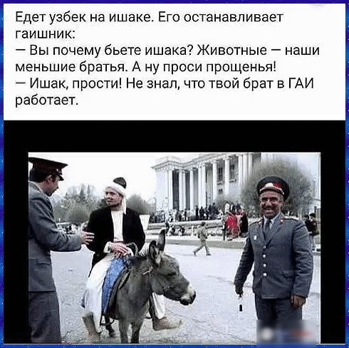 Едет узбек на ишаке Его останавливает гаишник Вы почему бьете ишака Животные наши меньшие братья А ну проси прощенья Ишак прости Не знал что твой брат в ГАИ работает