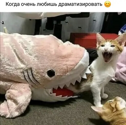 Когда Очень любишь драматизировать