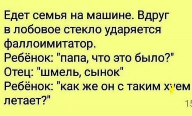 Едет семья на машине Вдруг в лобовое стекло ударяется фаллоимитатор Ребёнок папа что это было Отец шмель сынок Ребёнок как же он с таким хуем летает