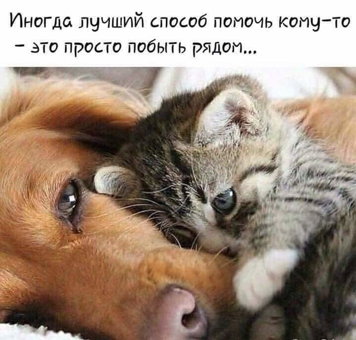 Иногда лучший способ помочь кому то это просто побыть рядом