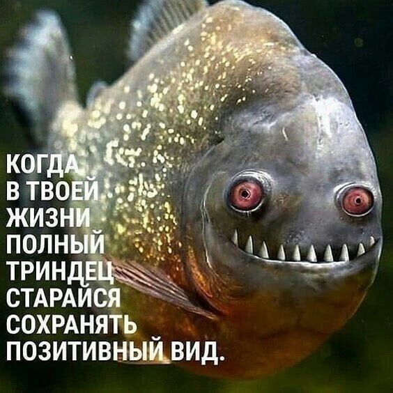 СОХРАНЯТЪ ПОЗИТИВНЫЁВИД