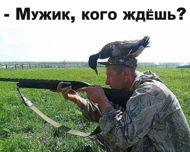 Мужик кого ждёшь