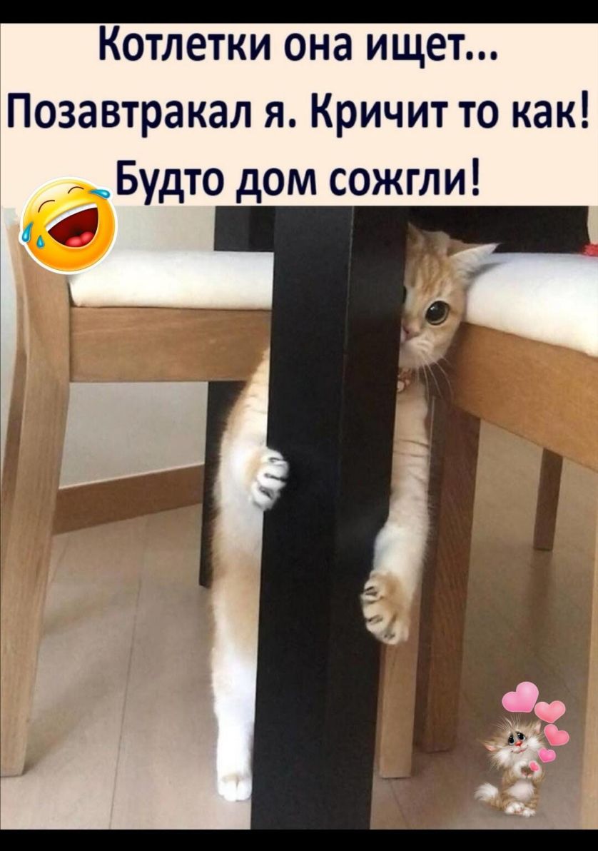 _ Котлетки она ищет Позавтракал я Кричит то как _Будто дом сожгли