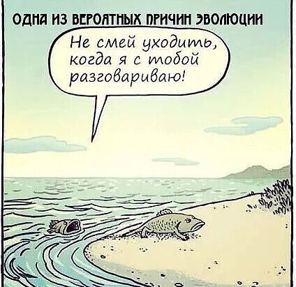 ОдПд ИЗ ВЕРОЯТНЫХ ПРИЧИН ЭВОЛЮЦИИ Не смей уходитш когда я с тобой разговариваю