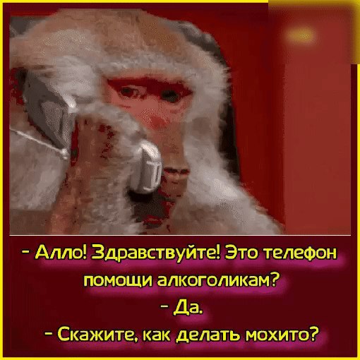 Алло Здравствуйте Это телефон помощи апкоголикам Да Скажите как делать мохито