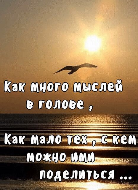 Как много их лей голове Как Малб можнщими __ поделиться живите кем по