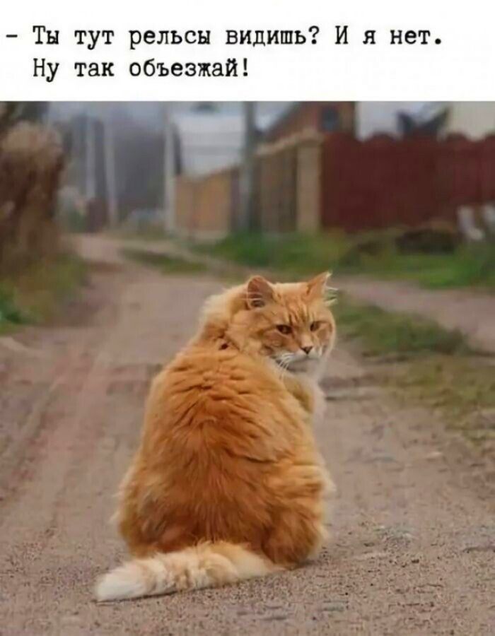 Тн тут рельсы видишь И я нет Ну так объезжай