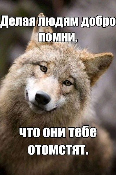 что они тебя отомстят