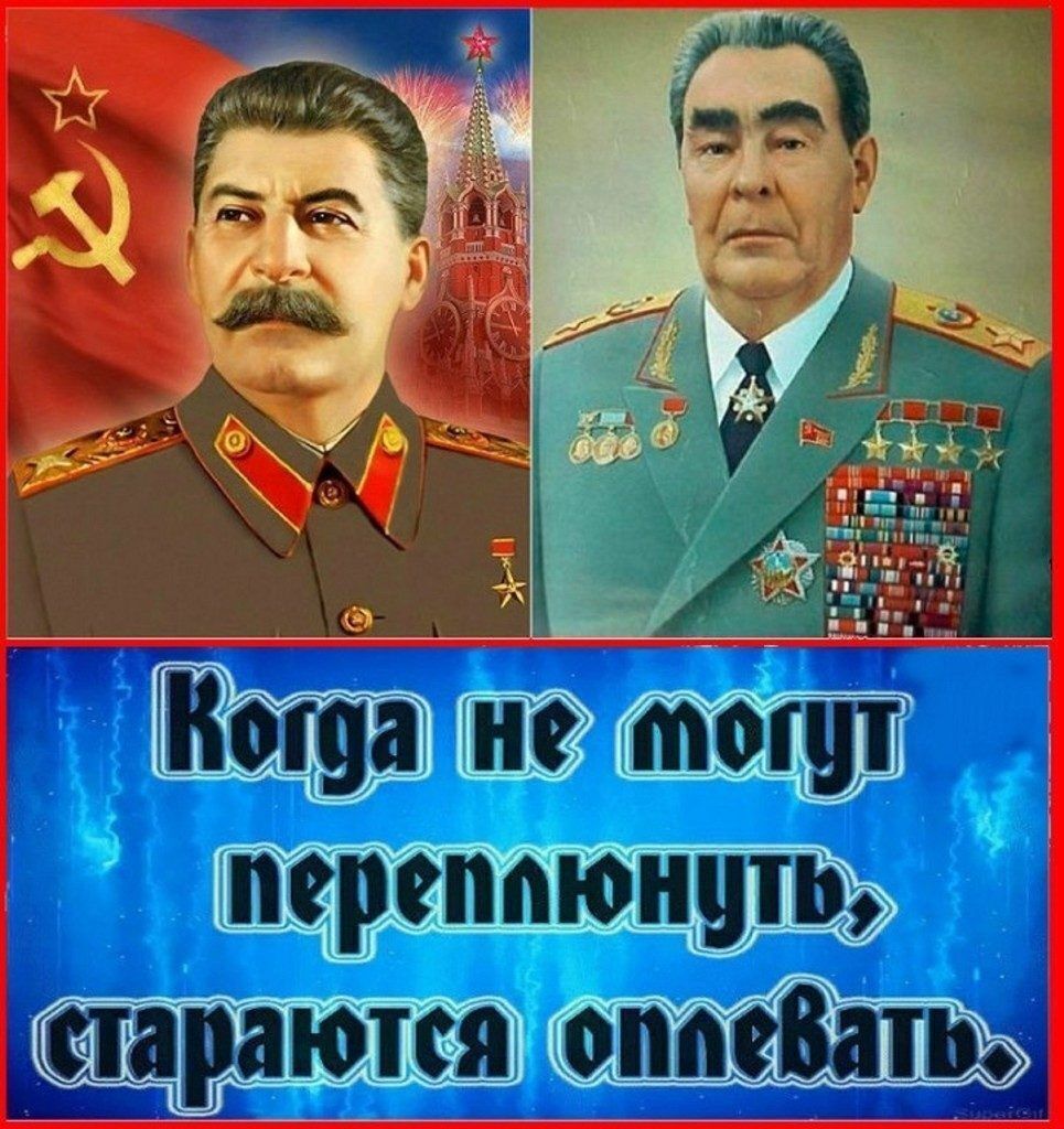 Коша не тош перси тюнить адаются