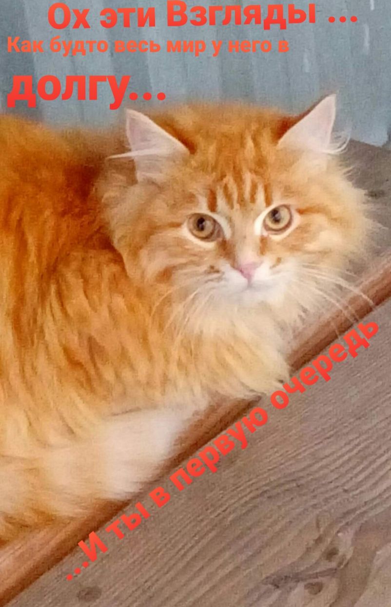 0х эти Взгляды Как будто весь мир у него в МГУ