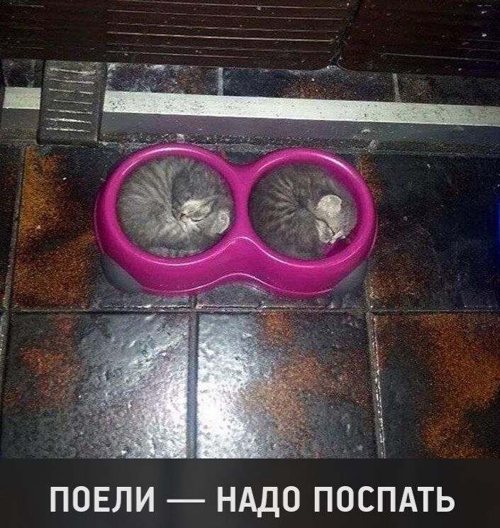 ПОЕЛИ НАДО ПОСПАТЬ