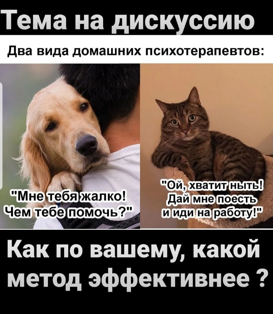 Тема на диск ссию Два вида домашних психотерапевтов _ Чем тебе помочь Как по вашему какой меТОД эффективнее