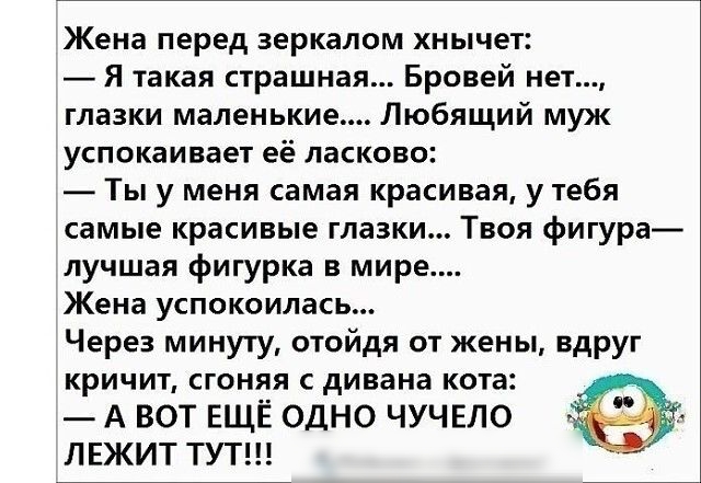 Жена перед зеркалом хнычет Я такая страшная Бровей нет глазки маленькие Любящий муж успокаивает её ласково Ты у меня самая красивая у тебя самые красивые глазки Твоя фигура лучшая фигурка в мире Жена успокоилась Через минуту отойдя от жены вдруг кричит сгоняя с дивана кота А ВОТ ЕЩЁ ОДНО ЧУЧЕЛО ЛЕЖИТ ТУТ