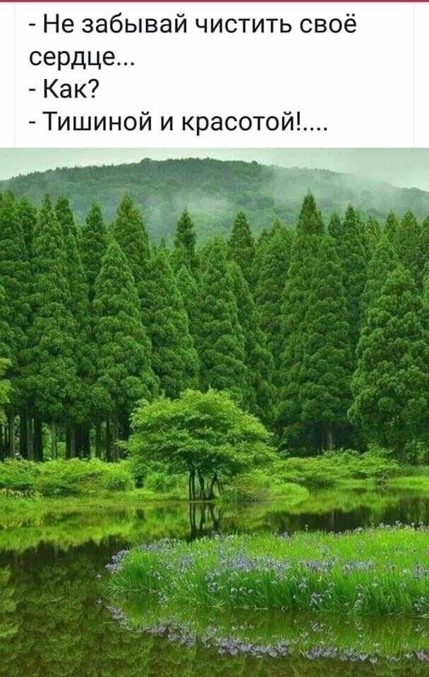 Не забывай чистить своё сердце Как Тишиной и красотой