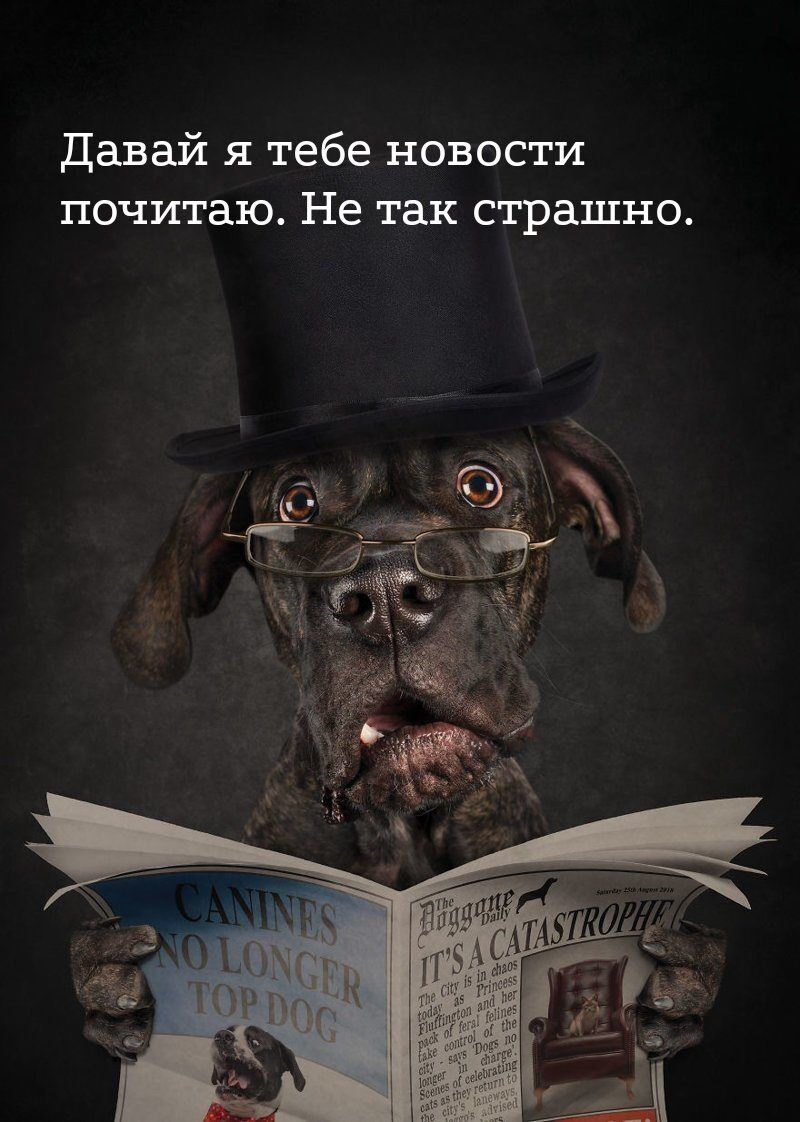 Давай я тебе новости почитаю Не так страшно