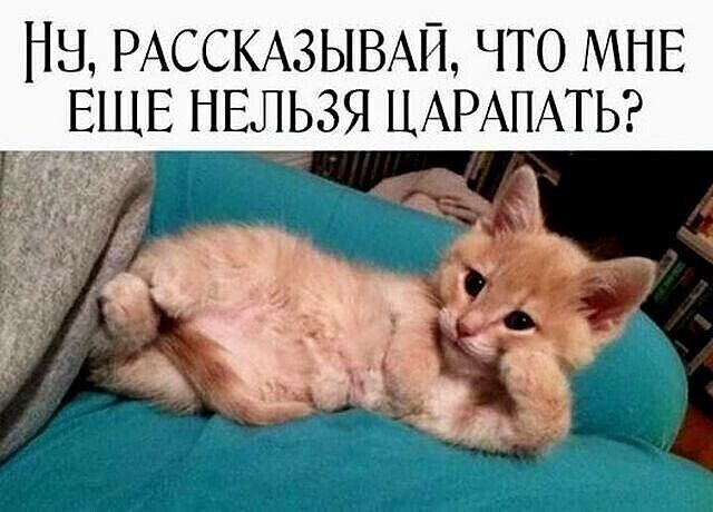 НН РАССКАЗЫВАЙ ЧТО МНЕ _ ЕЩЕ НЕЛЬЗЯ ЦАРАПАТЬ