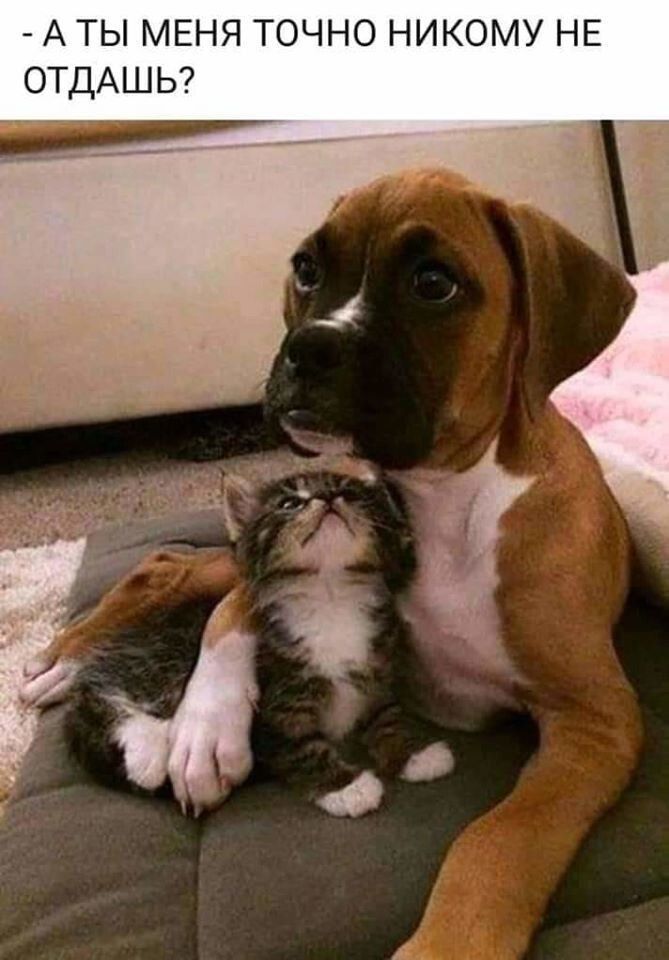 А ты МЕНЯ точно никому НЕ ОТДАШЬ