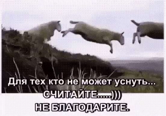 ЁЁ БЛАГОДАРИТЕ