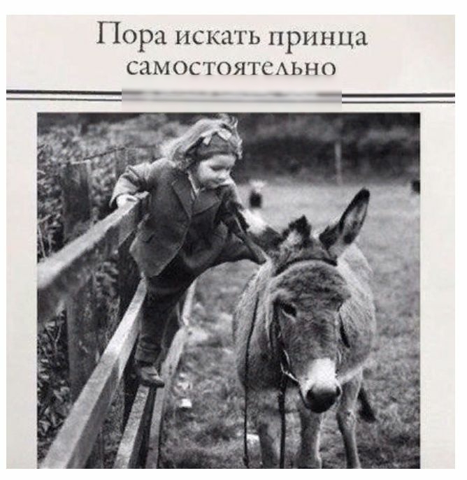 Пора ИСКЗТЬ ПРИНЦЦ СЗМ ОСТОЯТСАЬНО