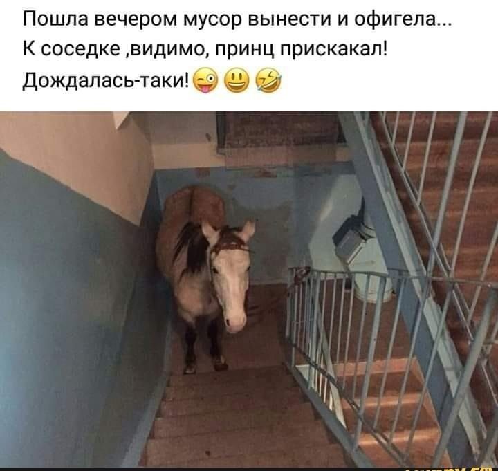 Пошла вечером мусор вынести и офигела К соседке видимо принц прискакал Дождаласьтаки