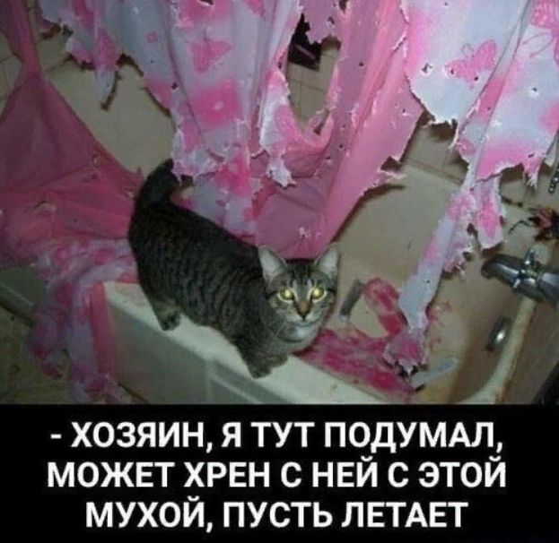 может хрен с НЕЙ с этой мухой пусть ЛЕТАЕТ