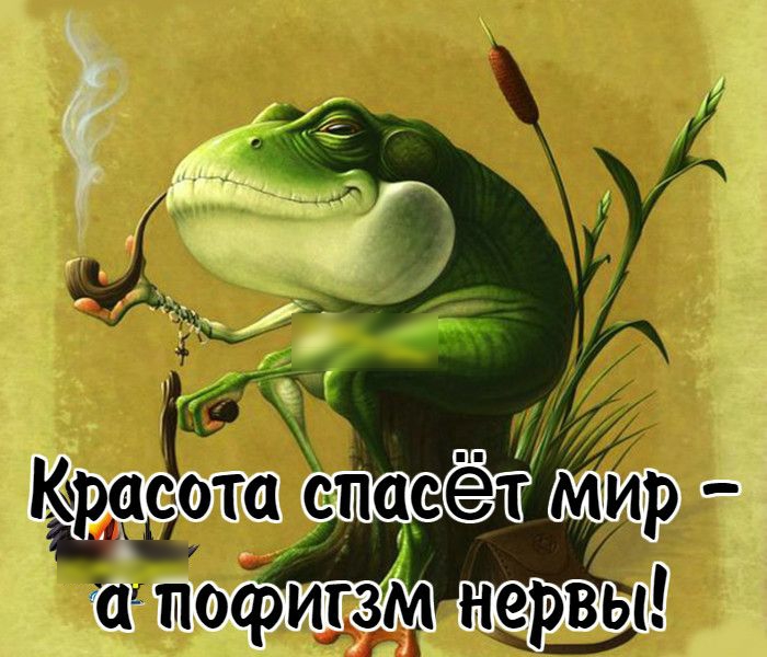 Ё_ йд ми о