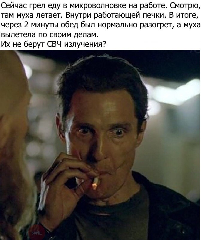 Сейчас грел еду в микроволновке на работе Смотрю там муха летает Внутри работающей печки В итоге через 2 минуты обед был нормально разогрет а муха вылетела по своим делам Их не берут СВЧ излучения