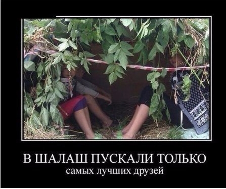 В ШАЛАШ ПУСКАЛИ ТОЛЬКО самых лучших друзей